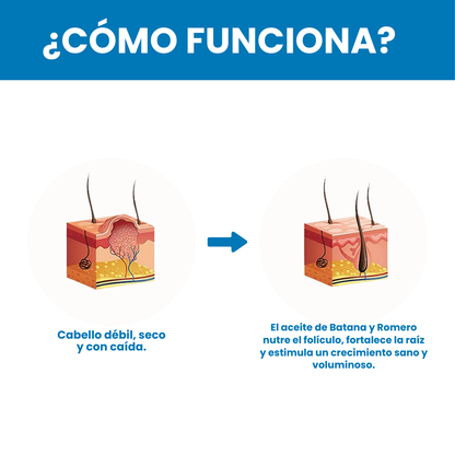 Sanorys Botana - Champú de Crecimiento Capilar con Aceite de Botana
